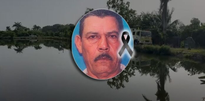 MUERTOPLANTADETRATAMIENTO.jpg